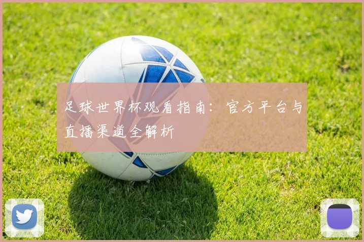 足球世界杯观看指南:官方平台与直播渠道全解析