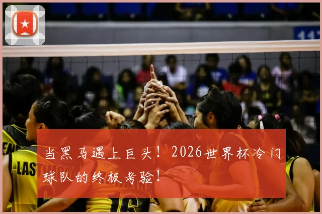 当黑马遇上巨头！2026世界杯冷门球队的终极考验！